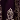 Eggplant/Gold